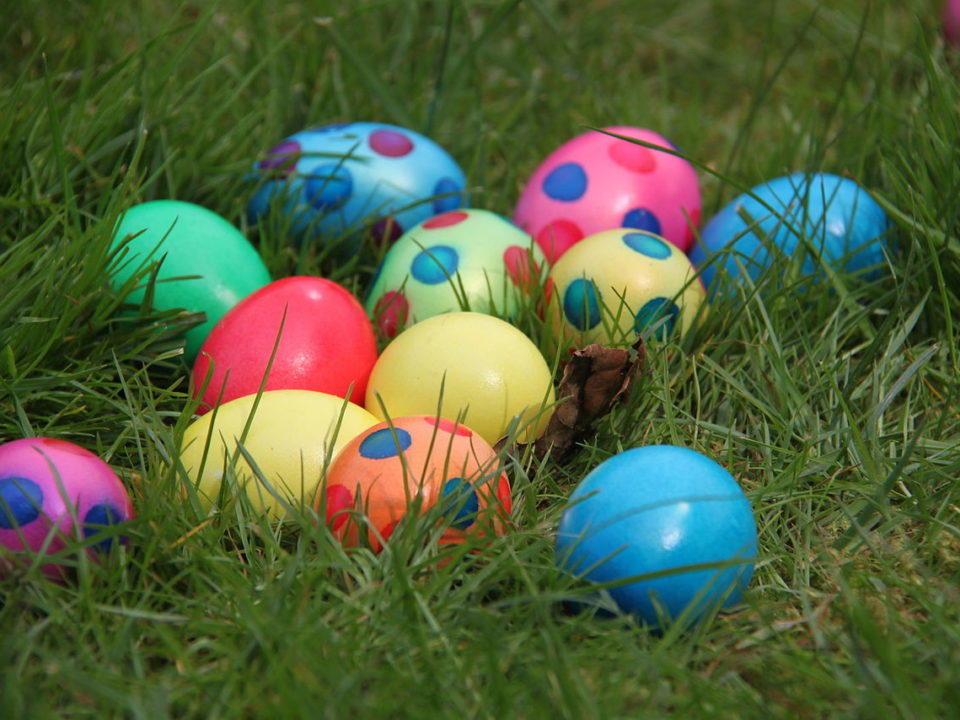 colorful easter eggs in a grassy lawn